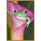 Australian green tree frog in flower by Adam Jones Danita Delimont 16-in. W x 23-in. H. Canvas Wall Art Print Framed in Natural